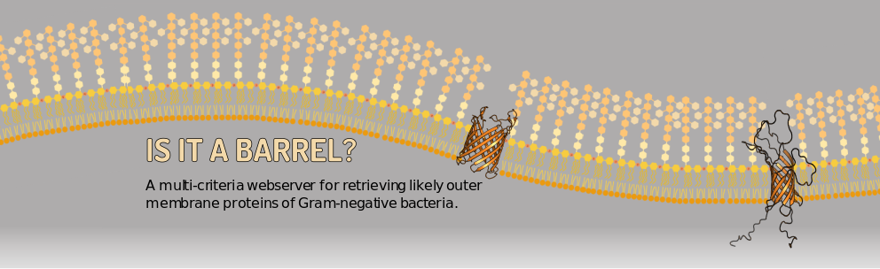 Is it a Barrel?  A multi-criteria webserver for retrieving likely outer membrane proteins of Gram-negative bacteria.