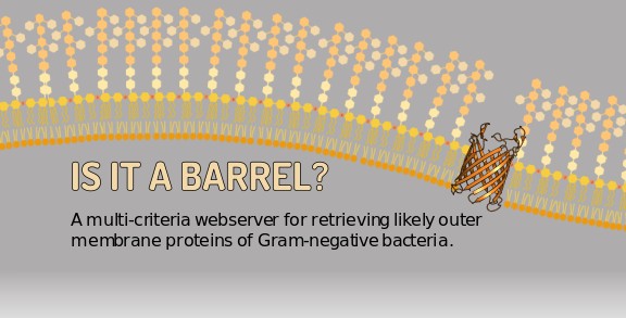 Is it a Barrel?  A multi-criteria webserver for retrieving likely outer membrane proteins of Gram-negative bacteria.